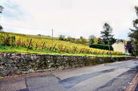 ribeauville