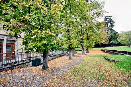 ribeauville