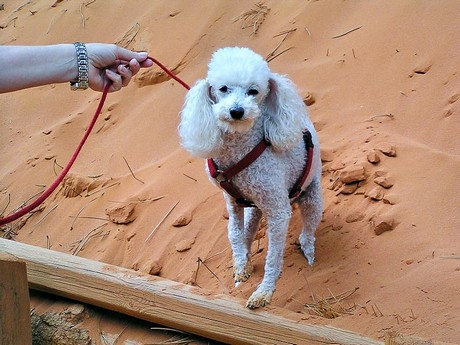 roussillon-ockerbrueche