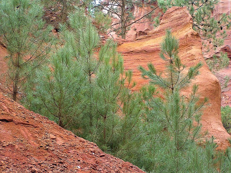 roussillon-ockerbrueche