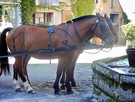 saignon