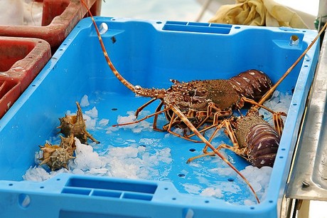 saint-cyprien-plage-hafen