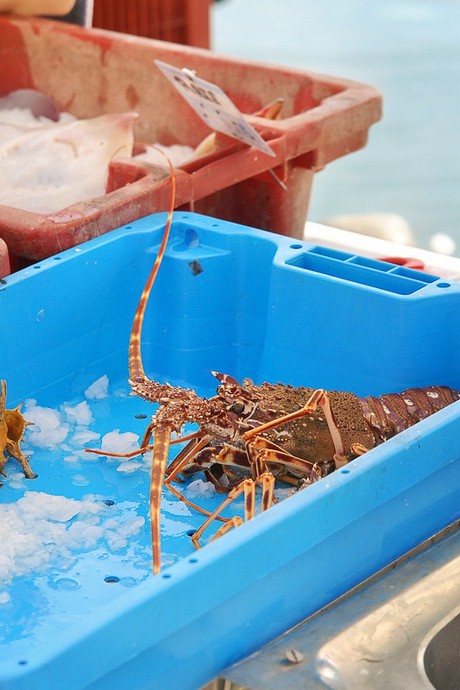 saint-cyprien-plage-hafen