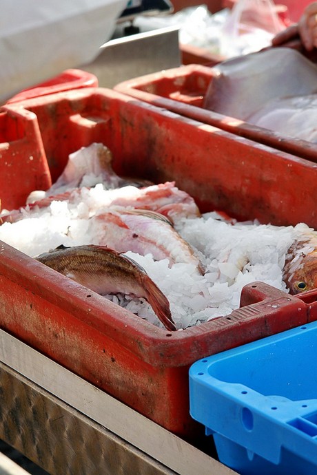 saint-cyprien-plage-hafen