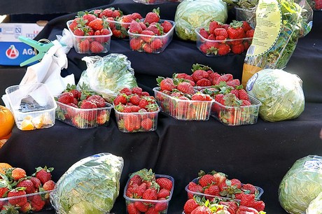 saint-cyprien-plage-markt