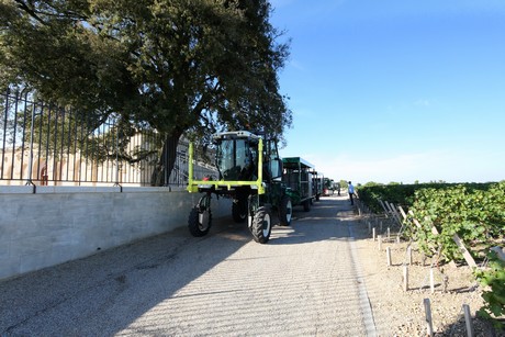 chateau-cos-d-estournel