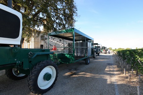 chateau-cos-d-estournel