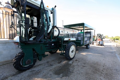 chateau-cos-d-estournel