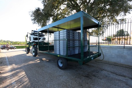 chateau-cos-d-estournel