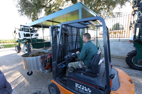 chateau-cos-d-estournel