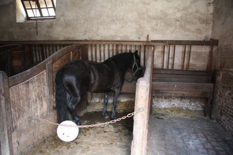 chateau-saint-fargeau-garten