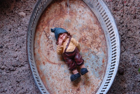 restaurant-l-arriere-cour