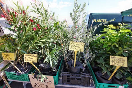 saint-pierre-la-mer-markt