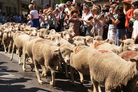 saint-remy-de-provence
