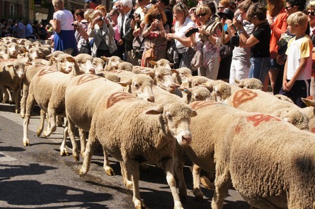 saint-remy-de-provence