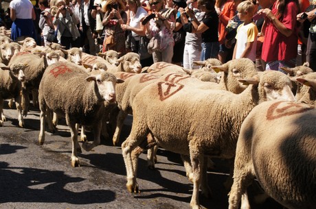 saint-remy-de-provence