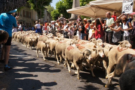 saint-remy-de-provence