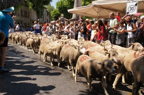 saint-remy-de-provence