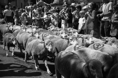 saint-remy-de-provence