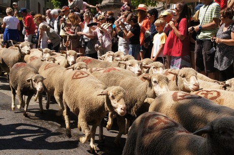 saint-remy-de-provence