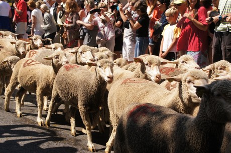 saint-remy-de-provence