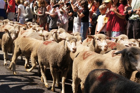 saint-remy-de-provence