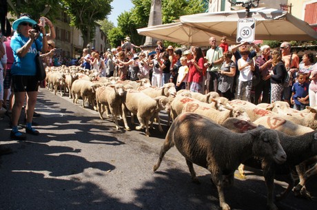 saint-remy-de-provence