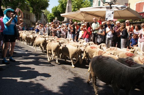 saint-remy-de-provence