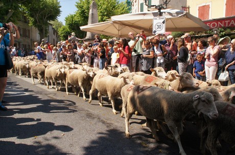 saint-remy-de-provence