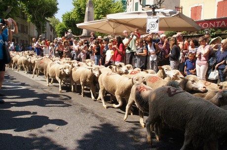 saint-remy-de-provence