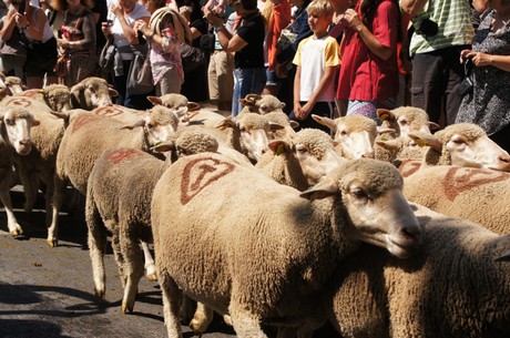 saint-remy-de-provence