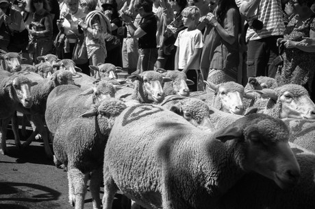 saint-remy-de-provence