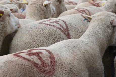 saint-remy-de-provence