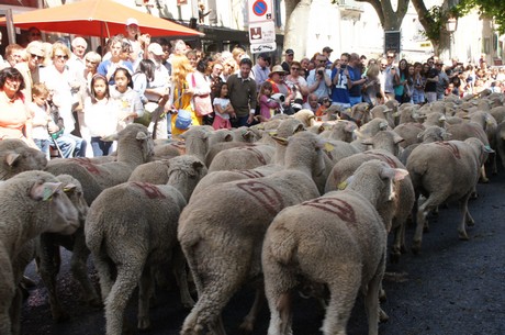 saint-remy-de-provence