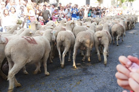 saint-remy-de-provence