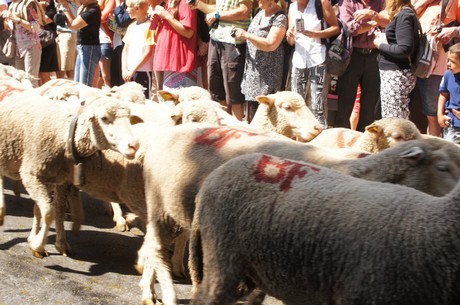 saint-remy-de-provence