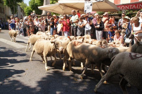 saint-remy-de-provence