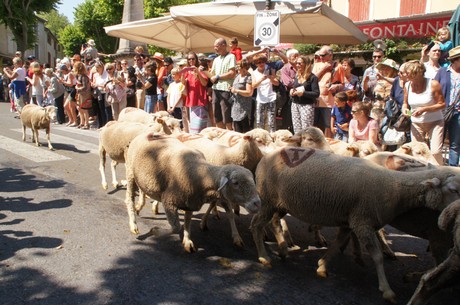 saint-remy-de-provence