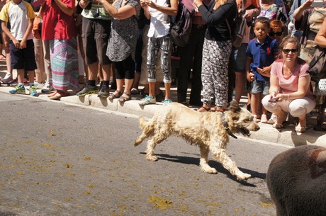 saint-remy-de-provence