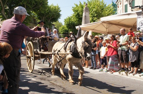 saint-remy-de-provence