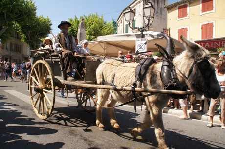 saint-remy-de-provence