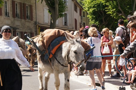 saint-remy-de-provence