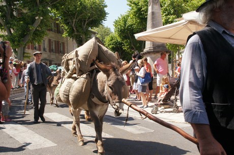 saint-remy-de-provence