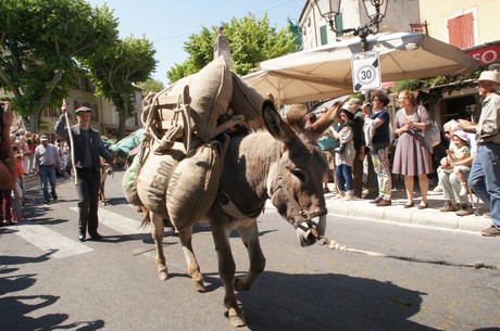 saint-remy-de-provence