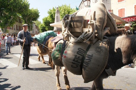 saint-remy-de-provence