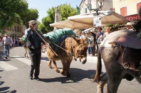 saint-remy-de-provence