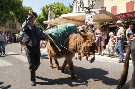 saint-remy-de-provence