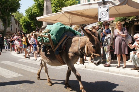 saint-remy-de-provence