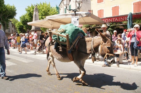 saint-remy-de-provence
