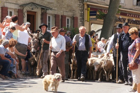 saint-remy-de-provence